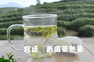 宫廷 普洱茶熟茶/2023041200493